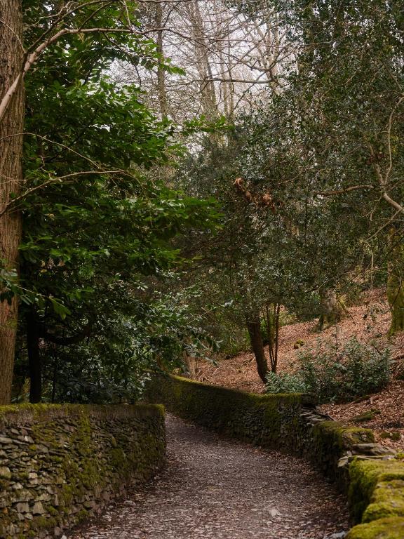 Surrounding environment