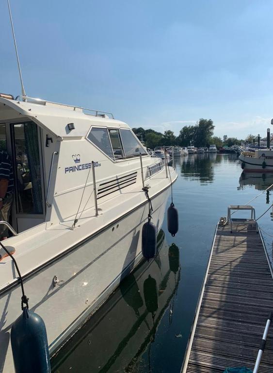 The River Thames - Surrey Boat, Thorpe