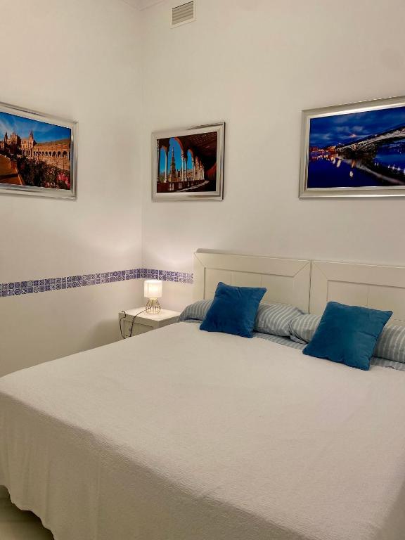 Santa Cruz - Luxurious City Center Boutique Apartment - FREE PARKING - 5