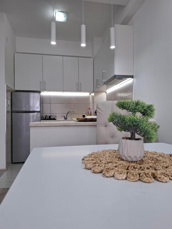 Apartman Kamelia - 5