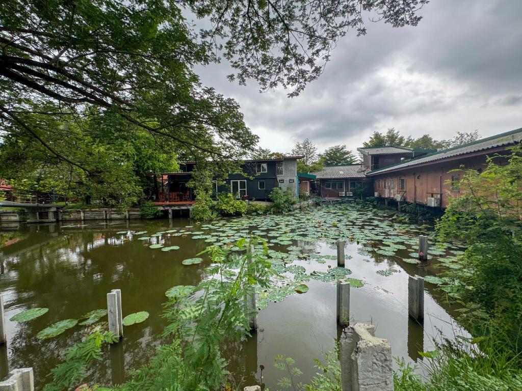 ทางเข้า