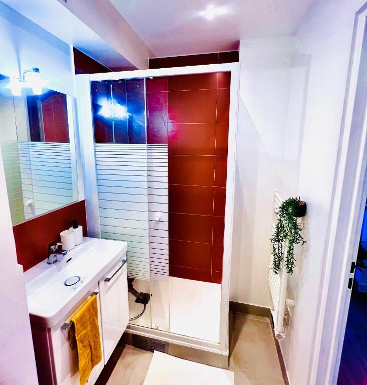 Beautiful apartment near Stade de France and Paris - 4