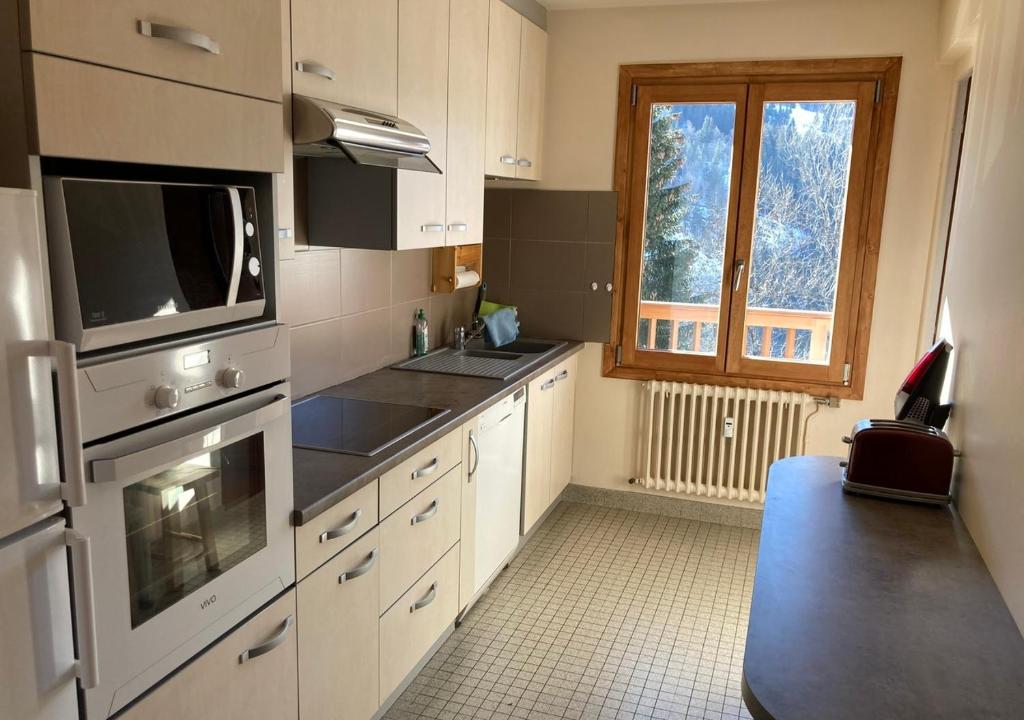 Appartement 3 pieces, proche des pistes, wifi et parking gratuit - 4