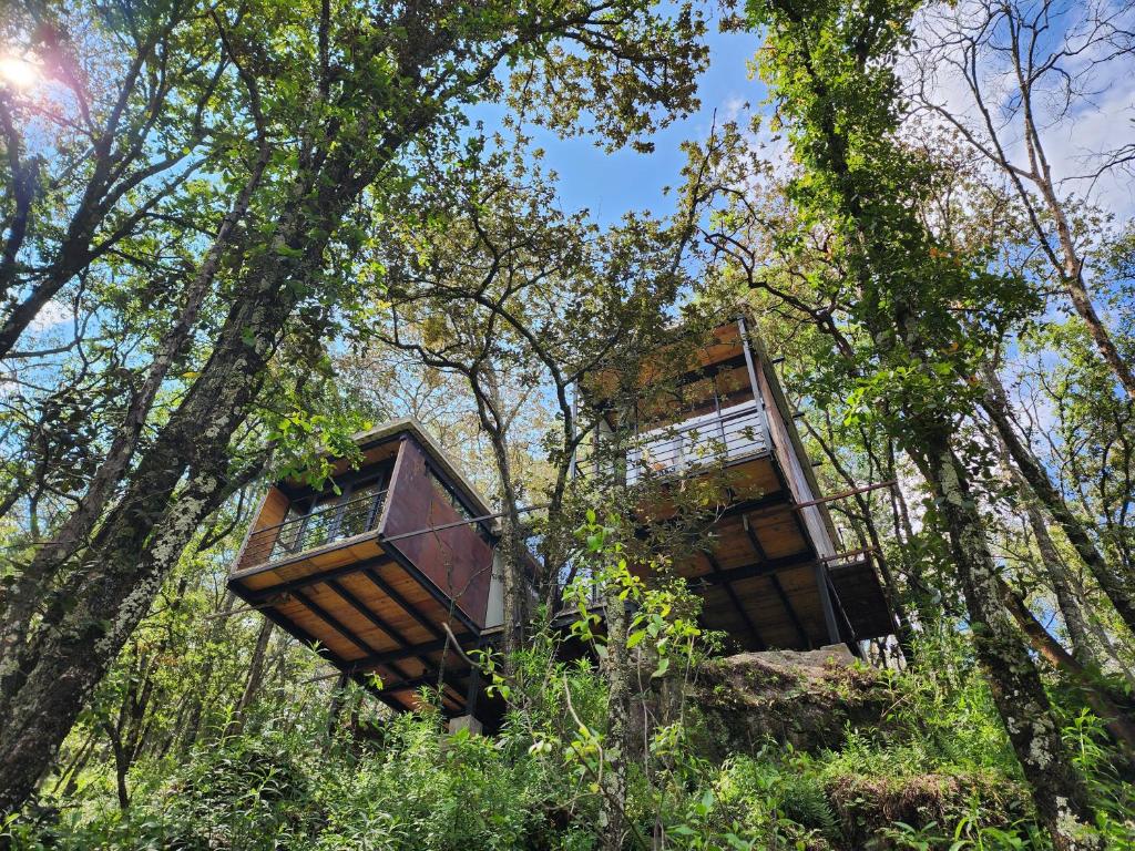 Casa Estudio UMMA, Punta del Bosque, Huasca de Ocampo