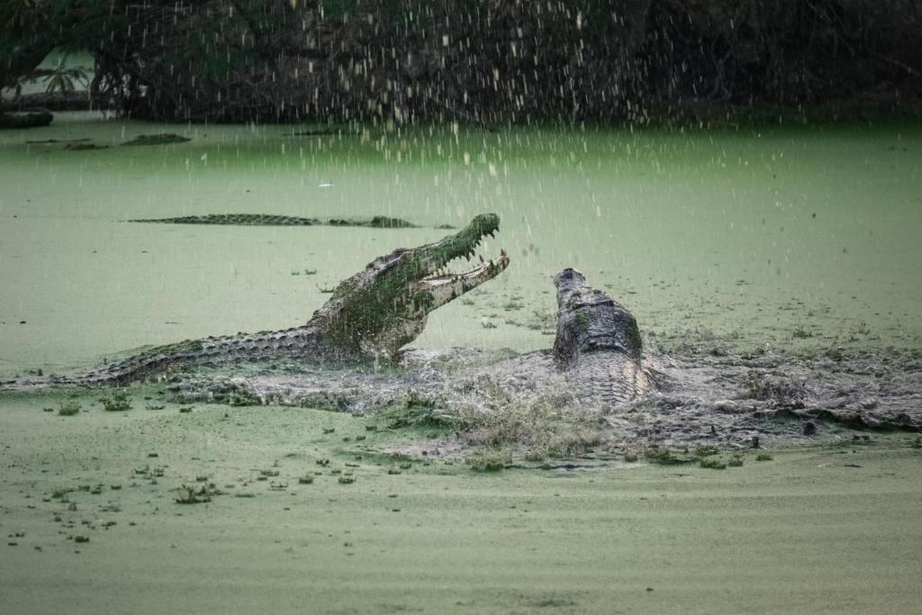 周辺観光スポット