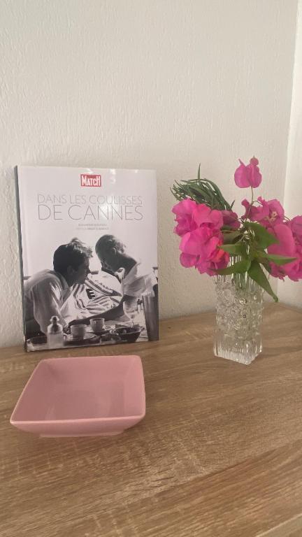ZEN et COSY, CALME ABSOLU parking privé jardin,ideal proche de Cannes - 4