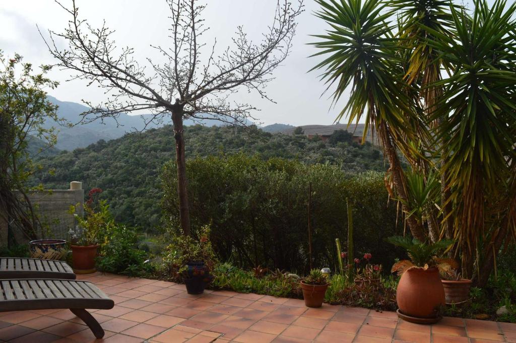 Maison 3 pièces 5 couchages BANYULS SUR MER BN000-08A - 3
