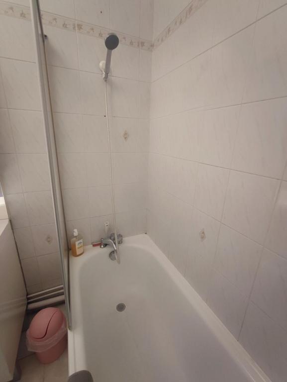 Grand appartement lumineux et central - 5