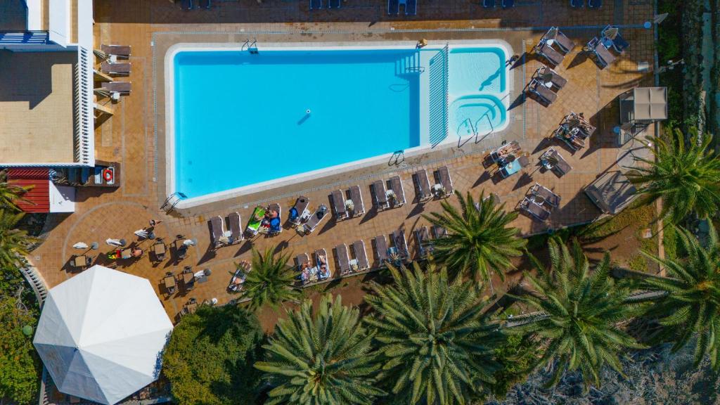 Hotel Chatur Palmera Mar — Swimming pool in Puerto Rico, Canary Islands