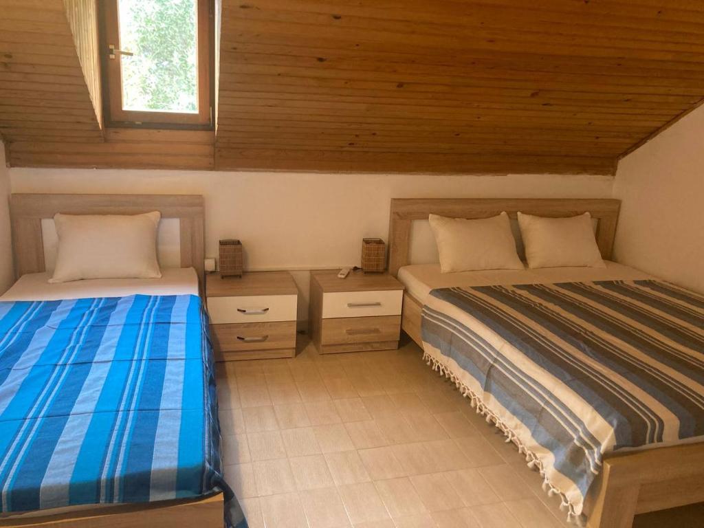 Kotor Bay Villa - 5