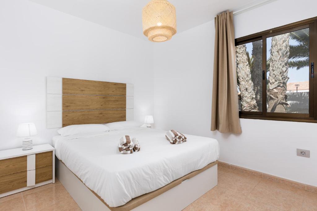 Home2Book Sunny Terrace & Pool Apt in Corralejo - 3