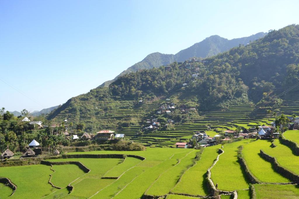 バタド ビュー イン アンド レストラン (Batad View Inn and Restaurant)