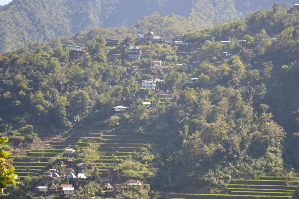 バタド ビュー イン アンド レストラン (Batad View Inn and Restaurant)