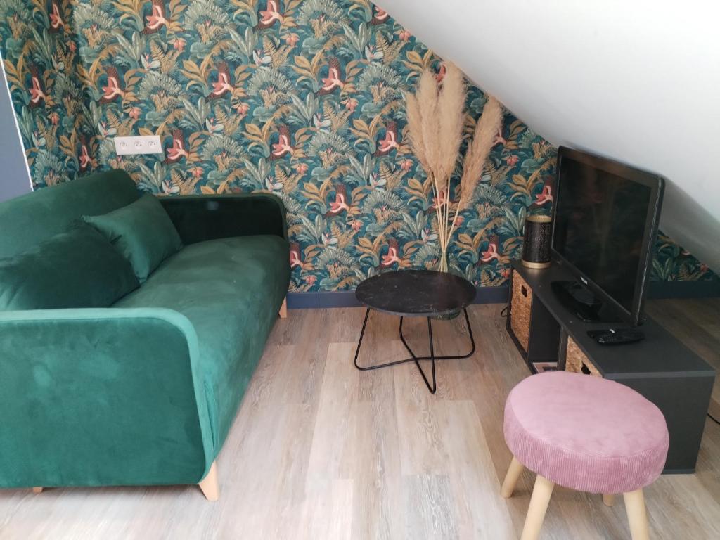 Appartement 1 chambre et 2 vélos - 3