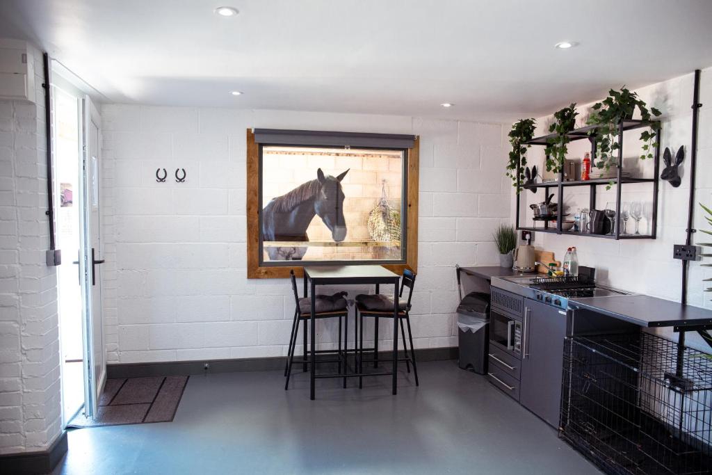 Sleep next to a Horse in a stable by the city ! photo 5