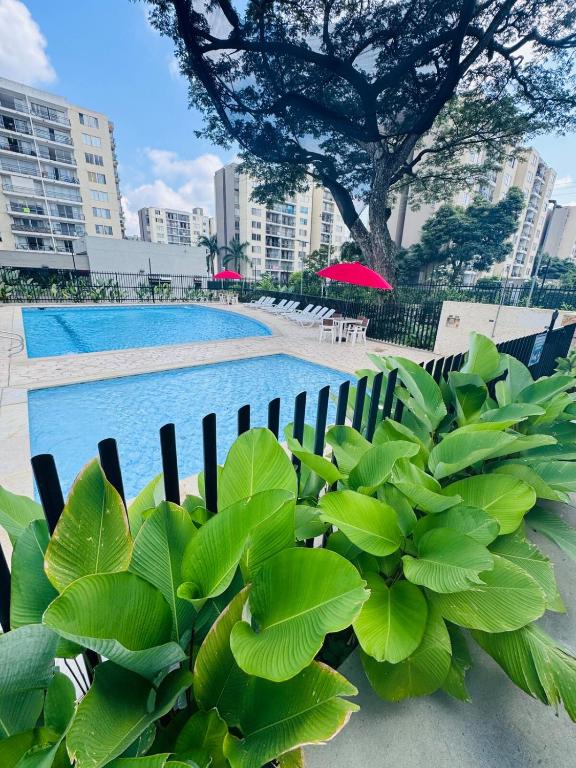 apartamento el roble, cali - 2