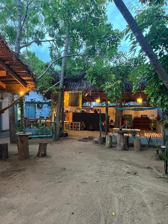 Cactus Arugambay, Arugam Bay