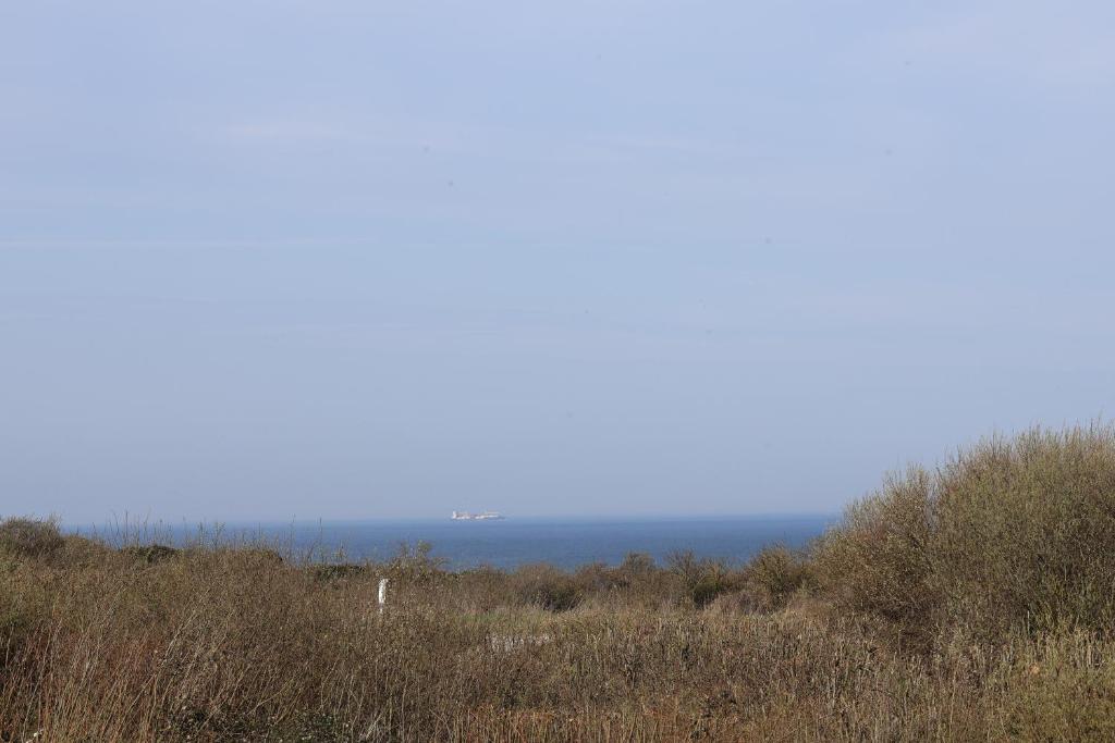 Les 4 oies - Wimereux, Wimereux