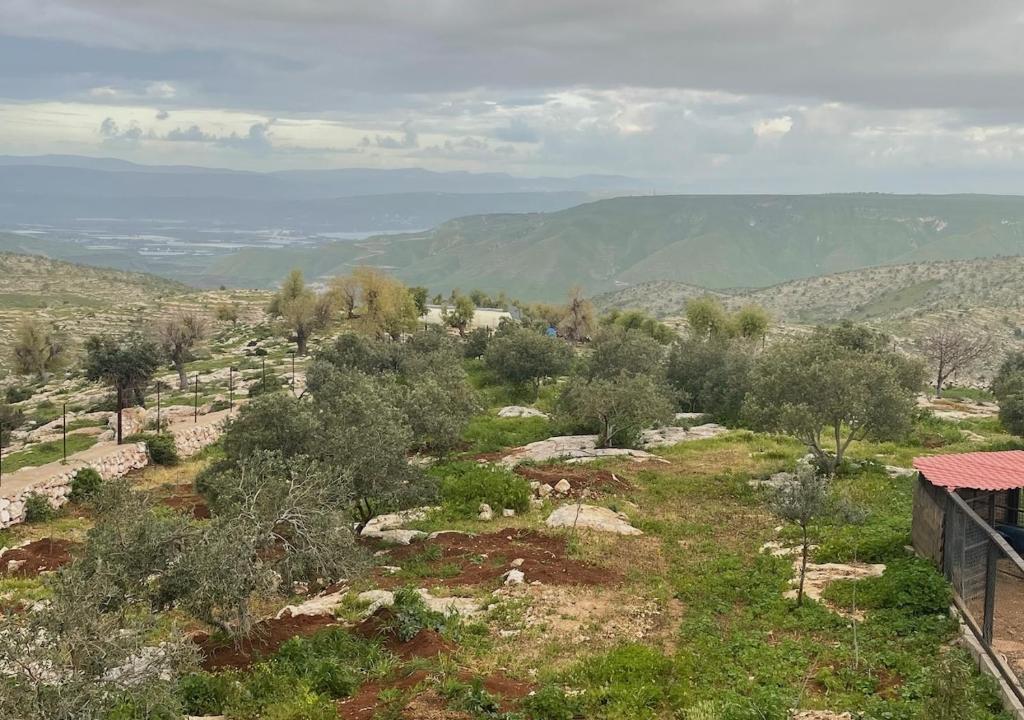 Al-Yarmouk sanctuary, Balad ash Shaykh