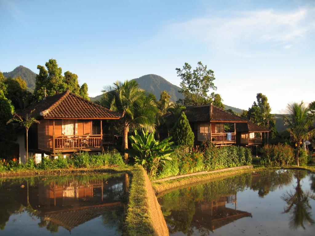Surrounding environment, Puri Lumbung Cottages, Restaurant & Spa, Munduk in Bali