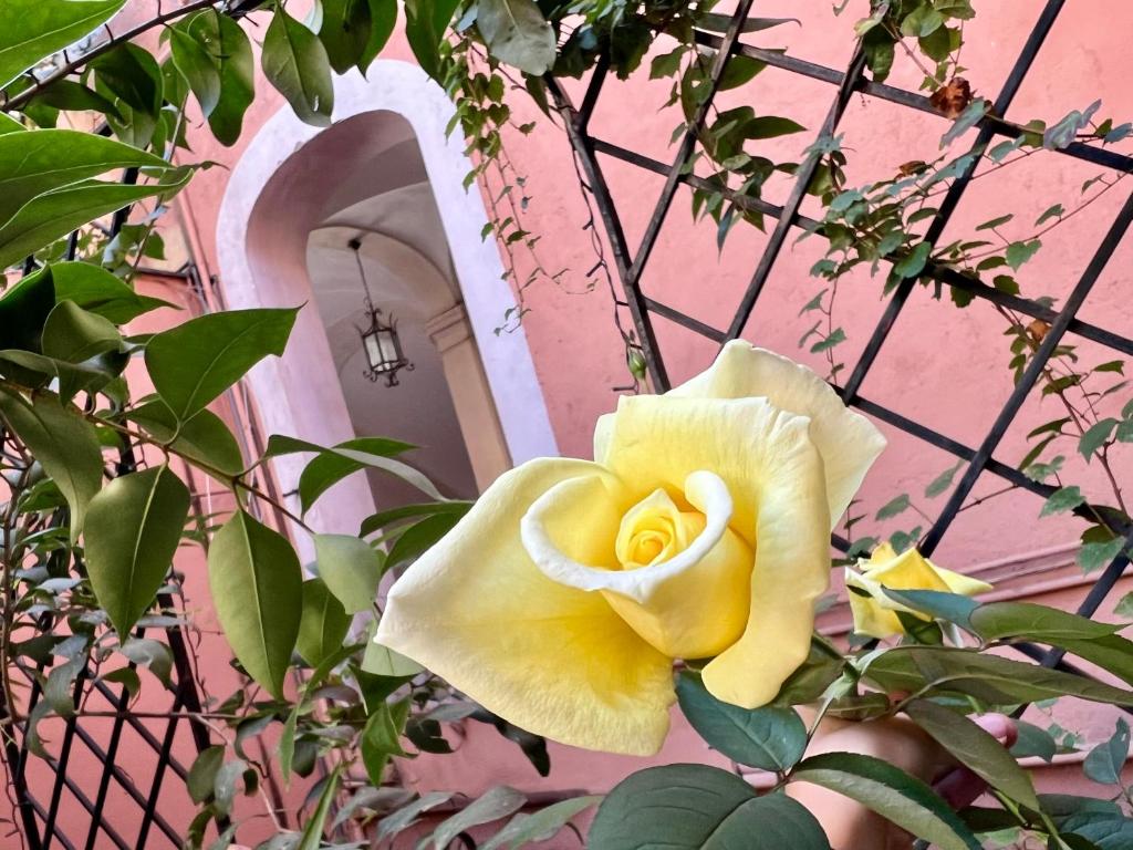 Apartment in Rome-Trastevere - Amorhome - 5