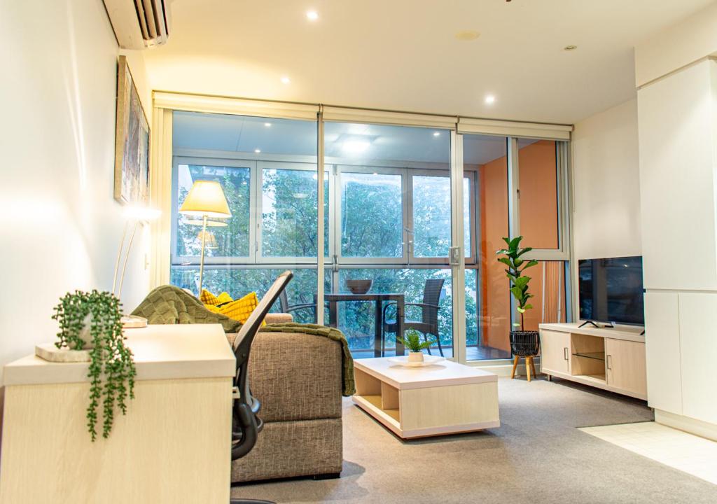 Koala Nest in Central Adelaide, Adelaide