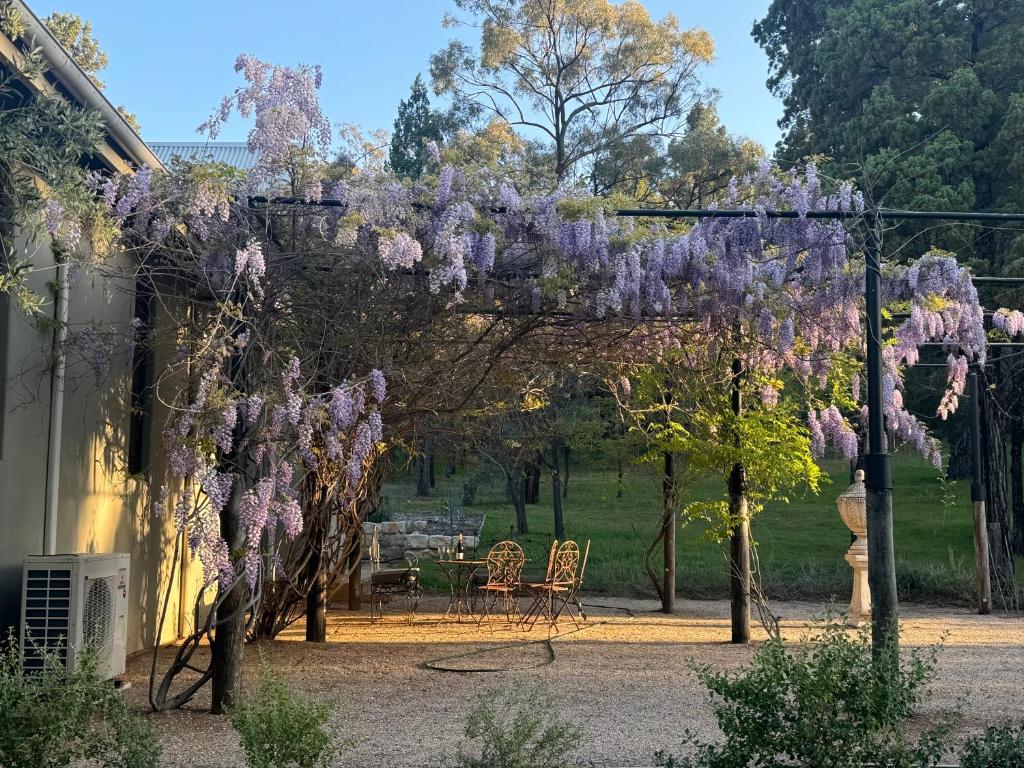 Baerami Pines Retreat, Baerami