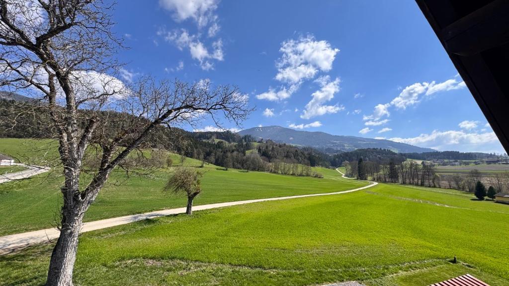 Apartment - Wolfsberg, Sankt Johann