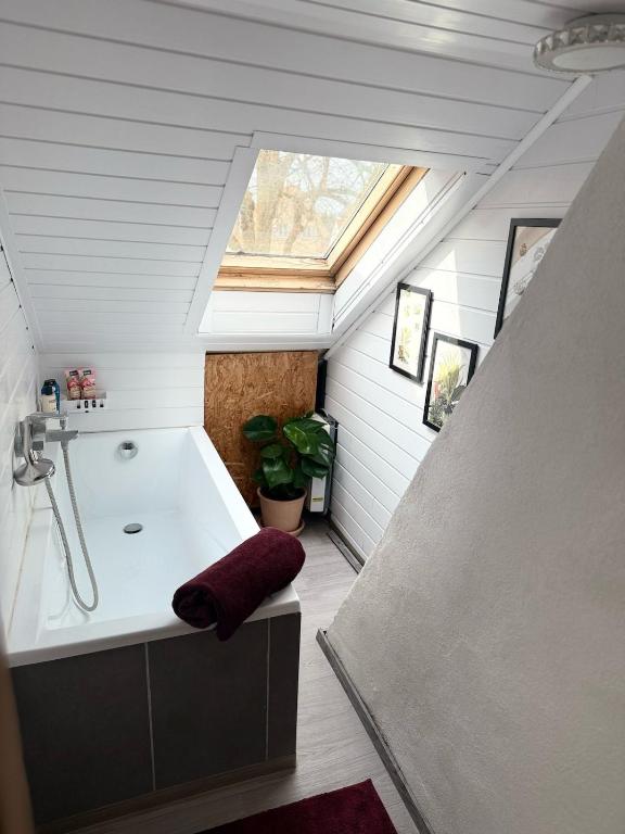 2 - Room city apartment - 4