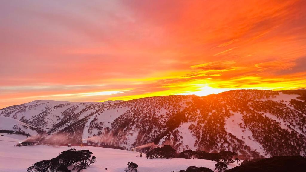 Slopeside Studio 4 Guests Ski in Ski out, Mount Hotham