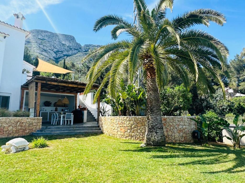 Casa Avellana - 4