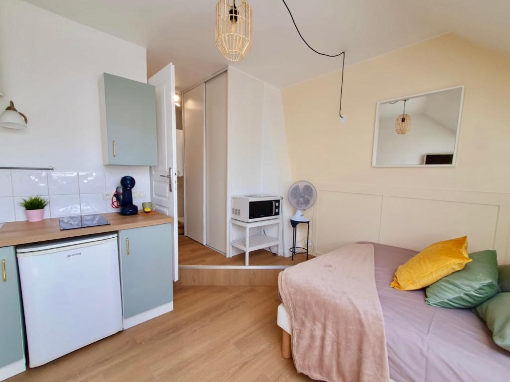 Le Saint Jacques "Belle Étoile" Logement climatisé Hyper-Centre - 4