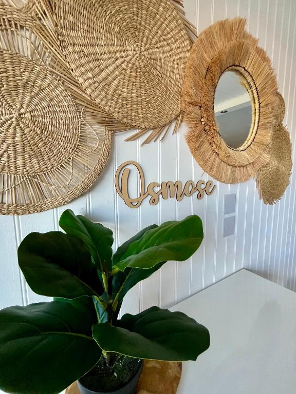 Cap D'agde Naturiste Heliopolis 2 à 4 Personnes Appartement OSMOSE - 2