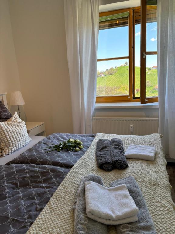 Glanz und Gloria Weingartenapartment an der Kellerstraße, viele Buschenschänke, sehr ruhige Lage, herrliche Aussicht! - 2