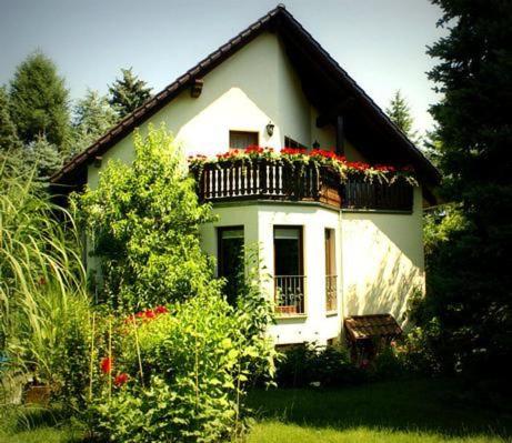 Fewo Ginkgo, Drážďany