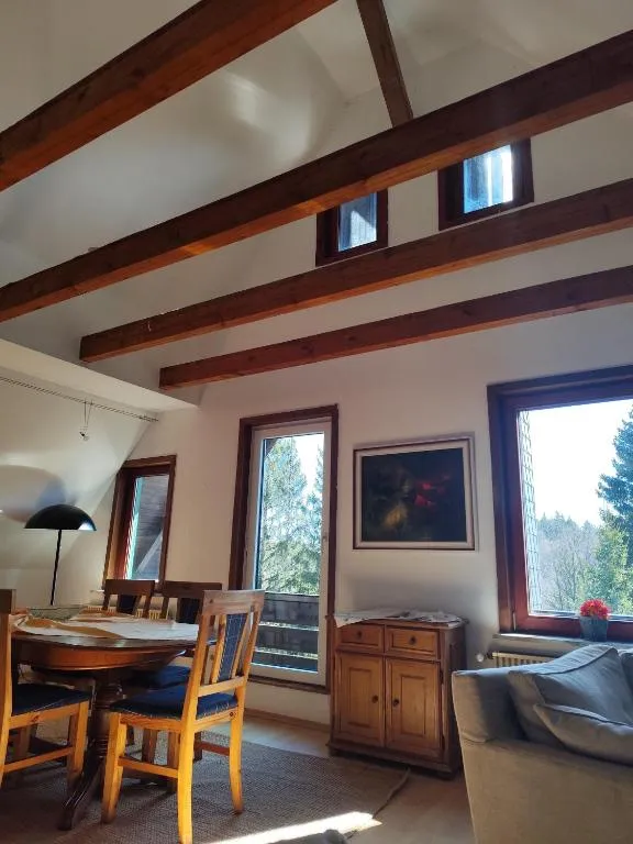 Hotel Carlsruh, hotel in Braunlage