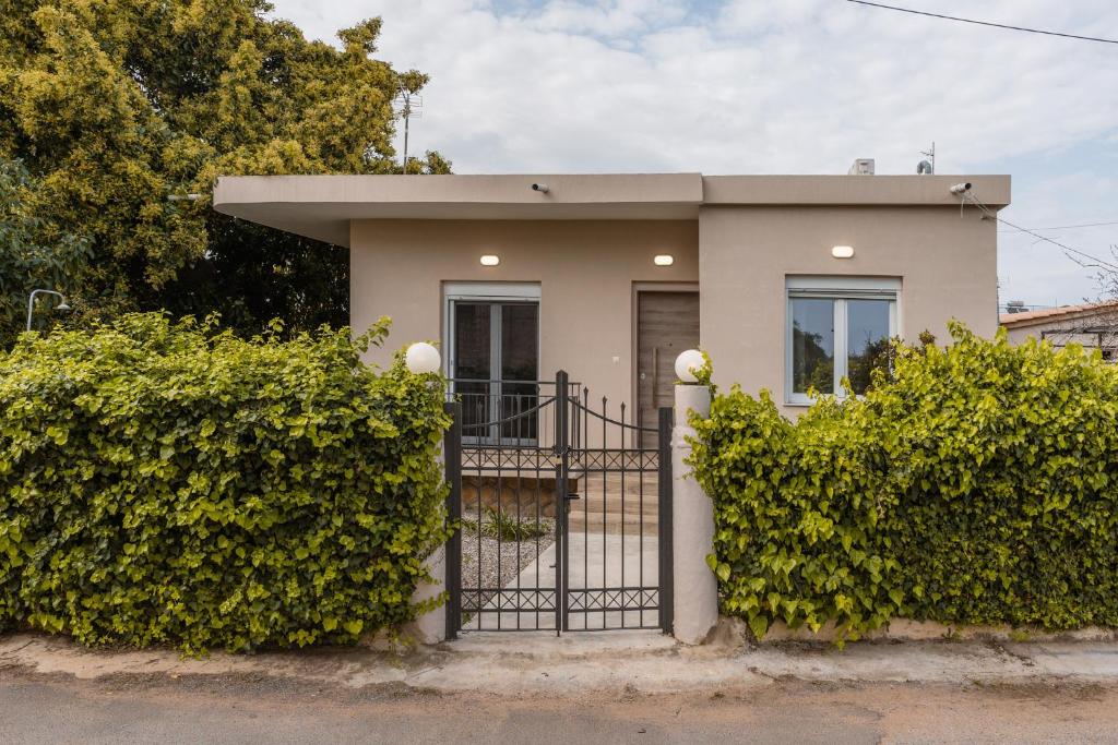 LazyDays in Analipsi, Análipsis