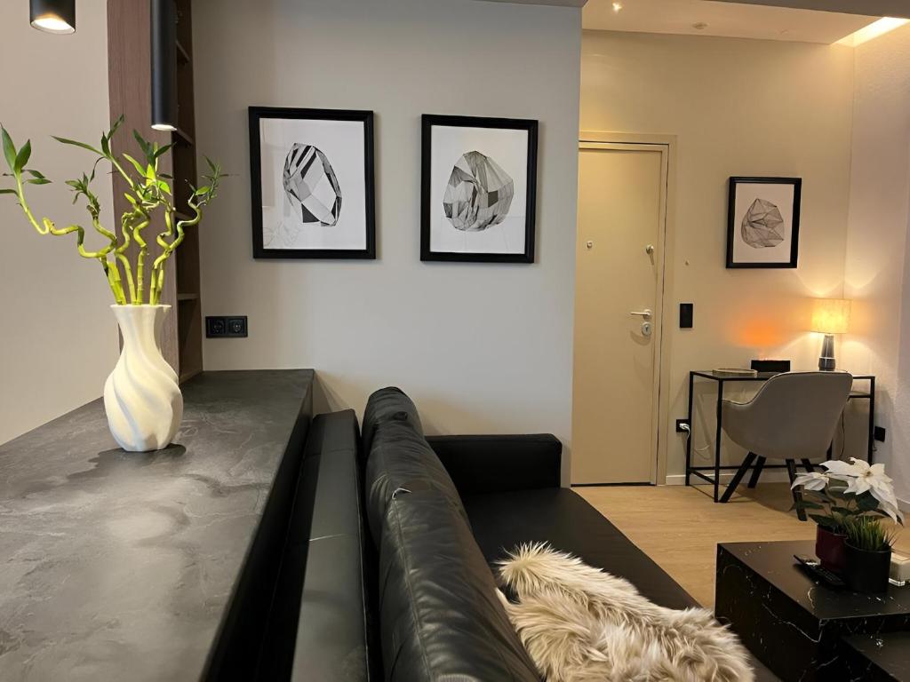 DoorMat #29 Poem, Soluň