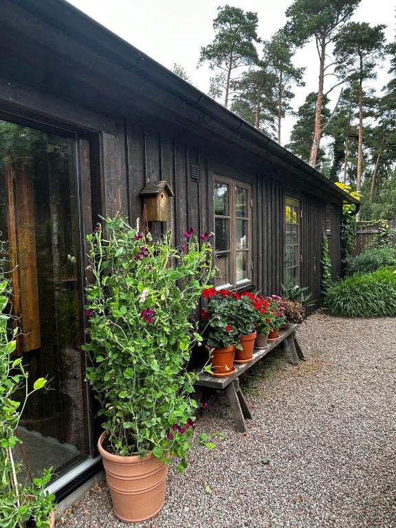 Orangeriet, Tvååker