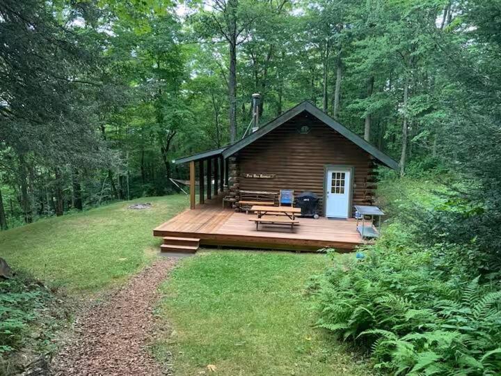 Pine Hill FLX Retreat, Cohocton