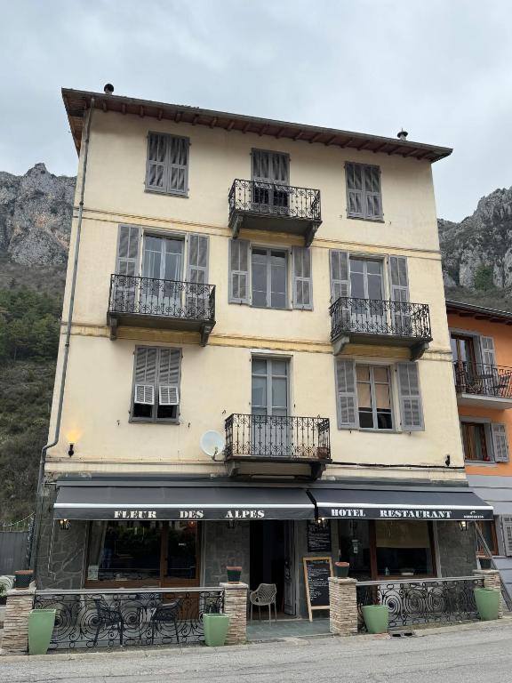 Hôtel Fleur des Alpes - 4