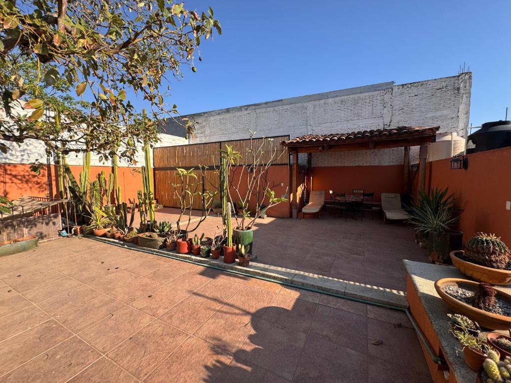 La Casa del Arbol - 3
