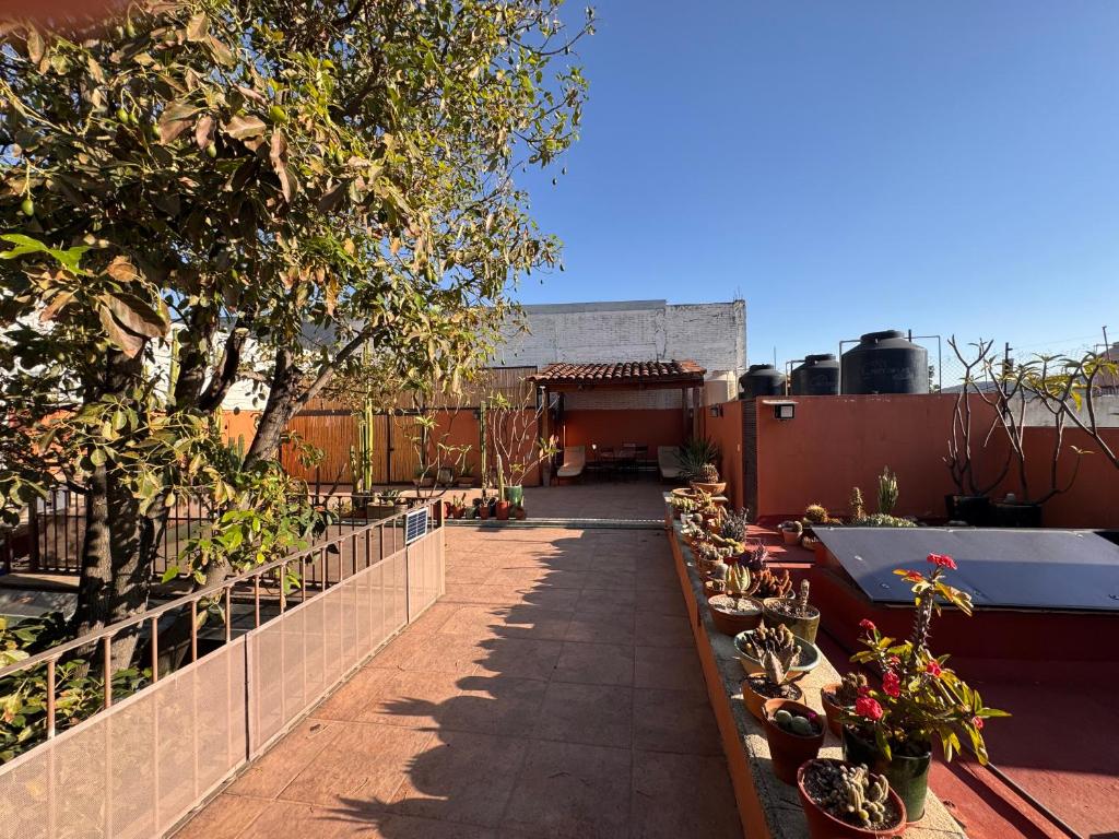 La Casa del Arbol - 4