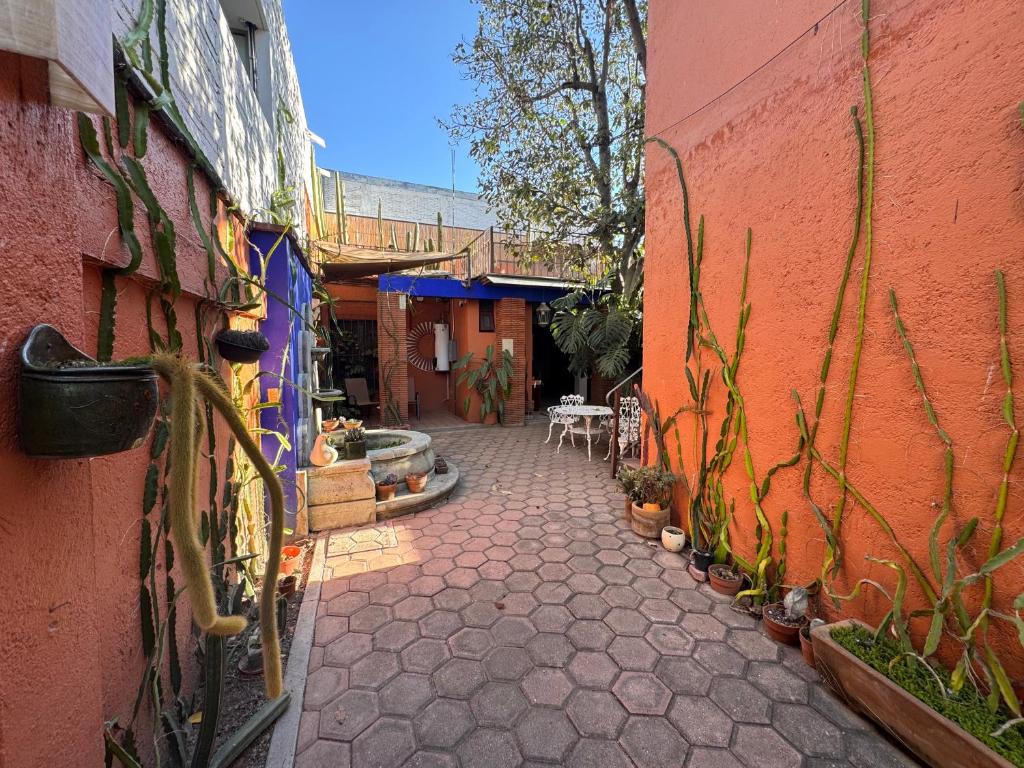 La Casa del Arbol - 5