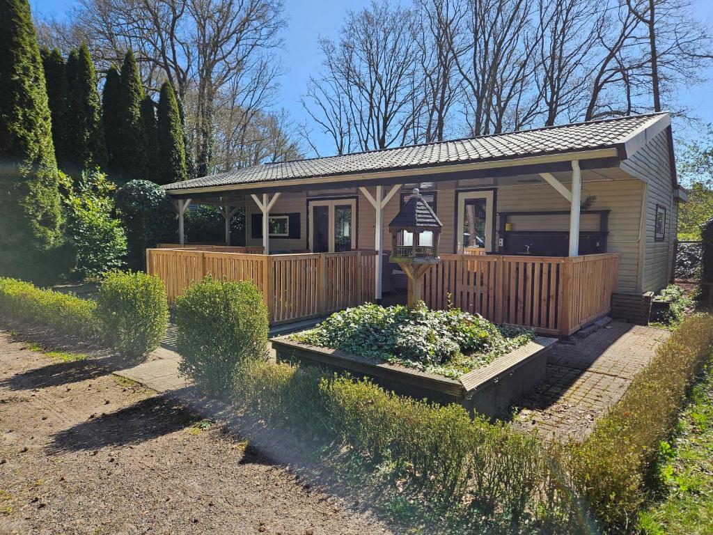 5 sterren - Familie camping in Raalte, Raalte