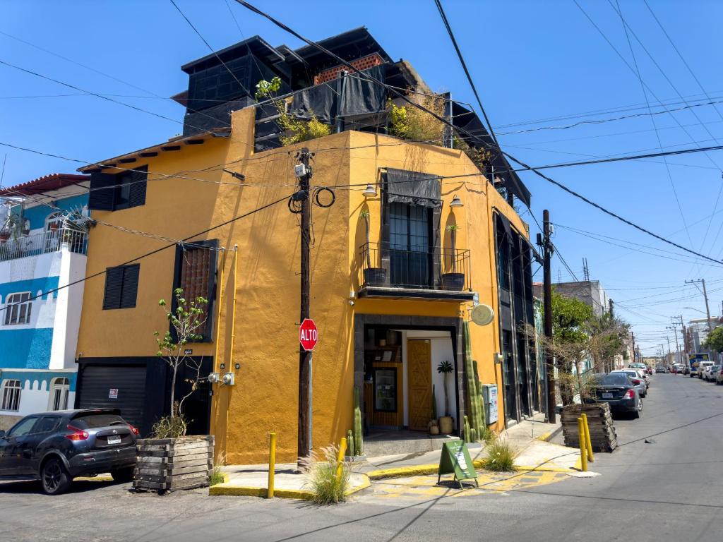 Dowtown lofts by flor y tierra - 2