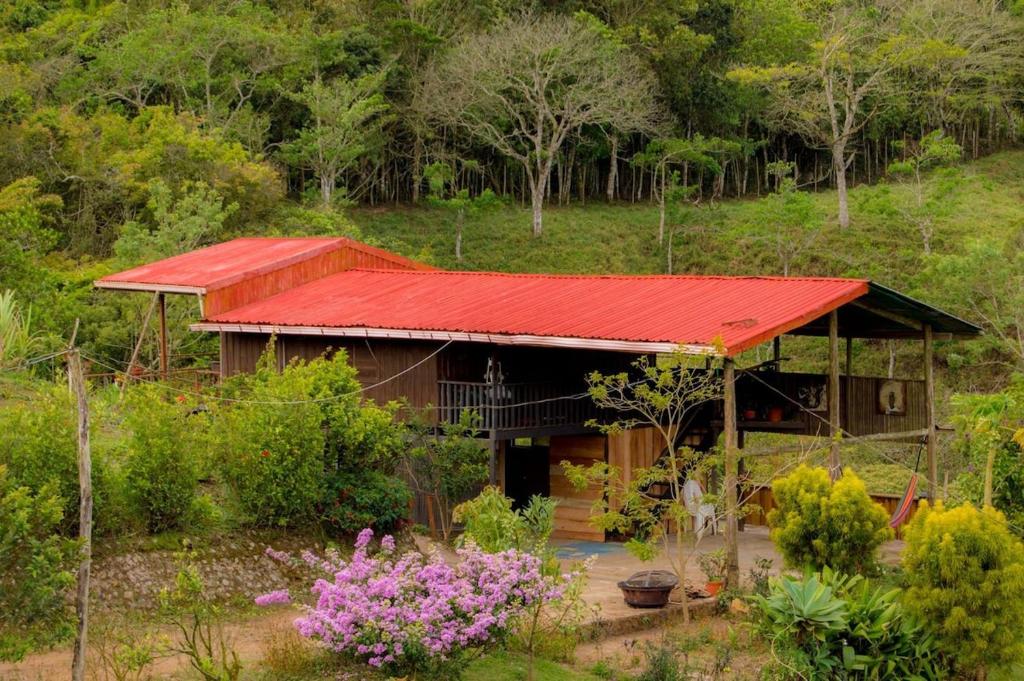 Marcana Occidente, San Ramón