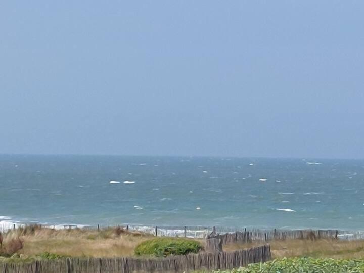 Cabourg, T2 jardin proche plage - 2