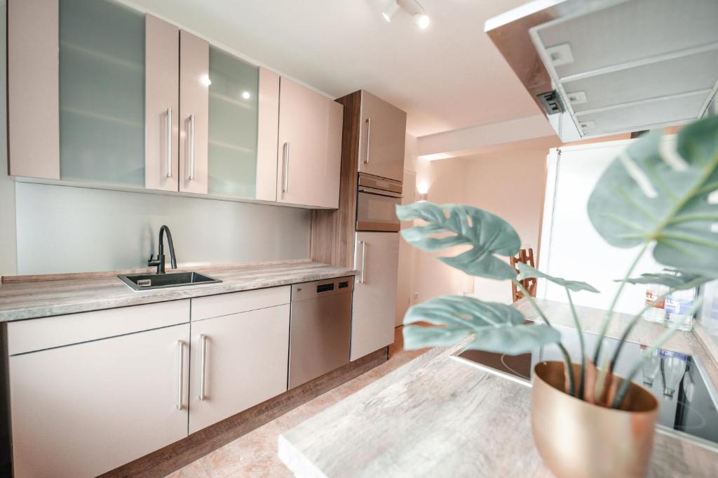 Eifeldomizil Allendorf, Schleiden