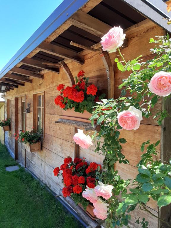 Appartamento per vacanze "IL GELSO" - 4